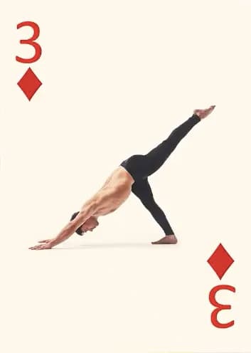 Собака нога вверх