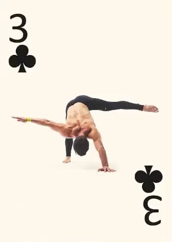 Собака рука и нога в стороны